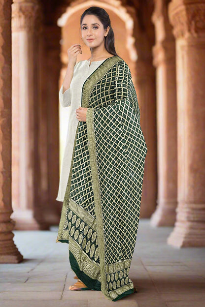 Krishna Tanna Traditonal Hand Weaved Nim Jungla Bandhani - Tie & Dye Dupatta